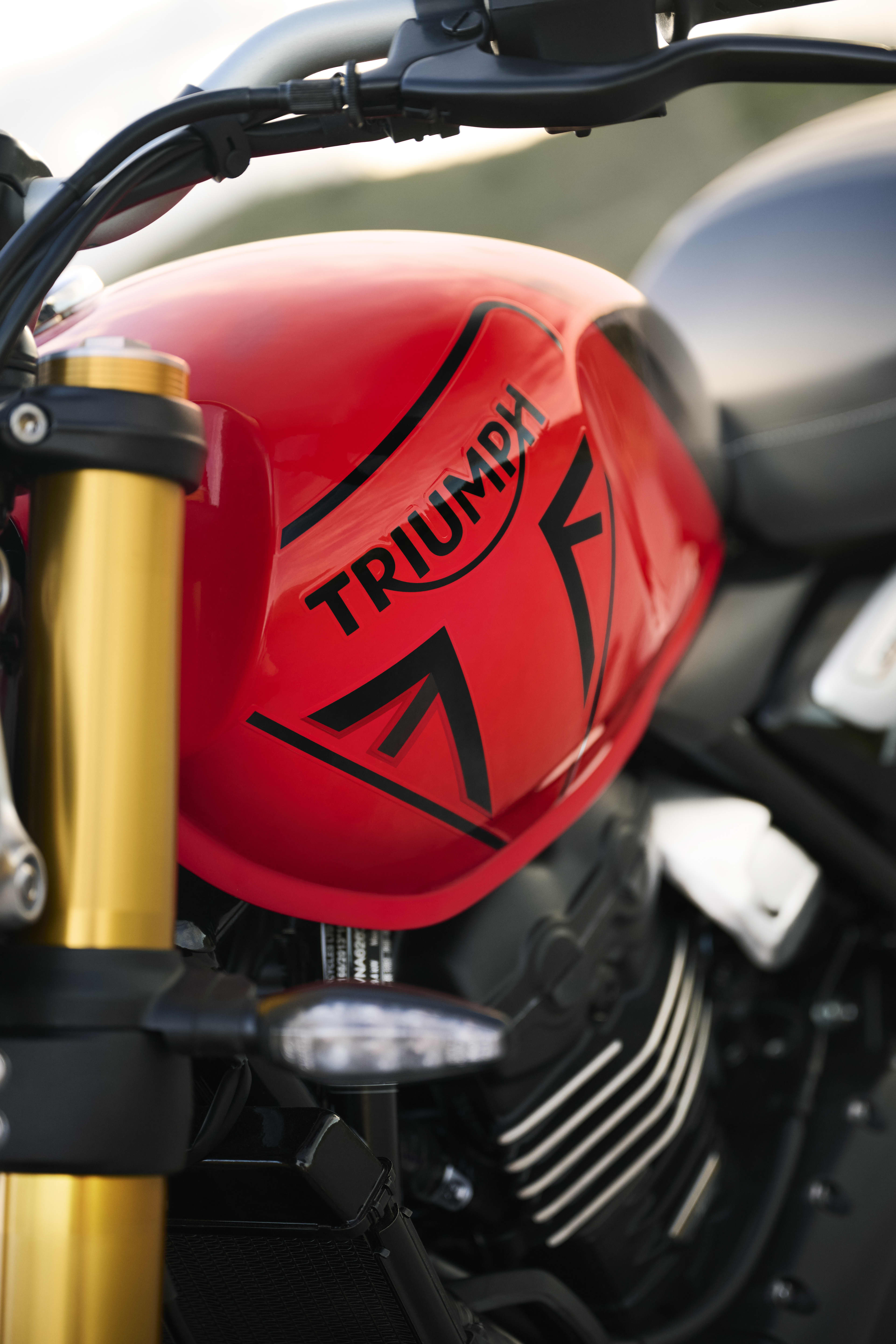 Gros plan du réservoir de la Triumph Speed 400 en Racing Red et Pewter Grey