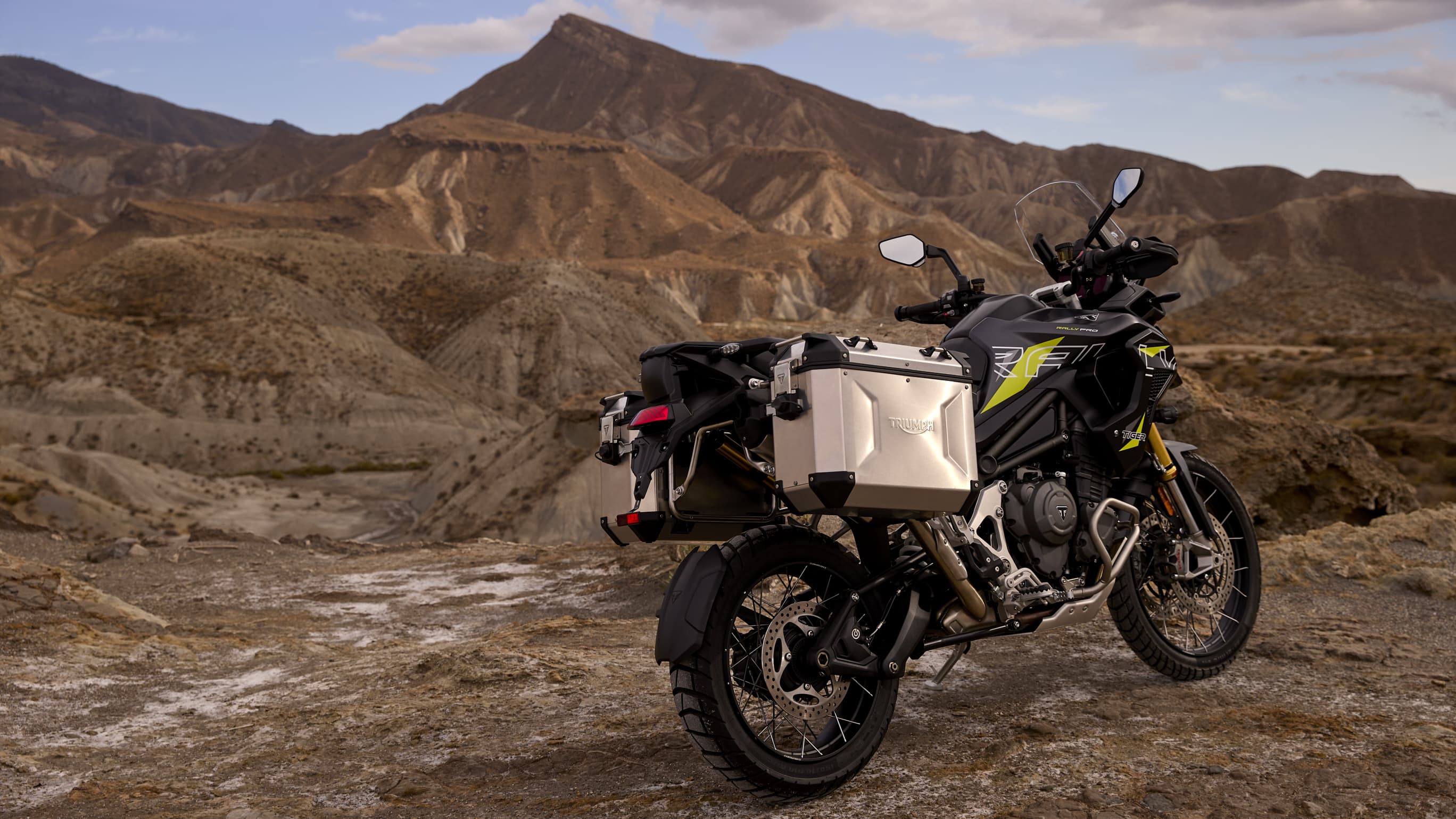 Tiger 1200 Family