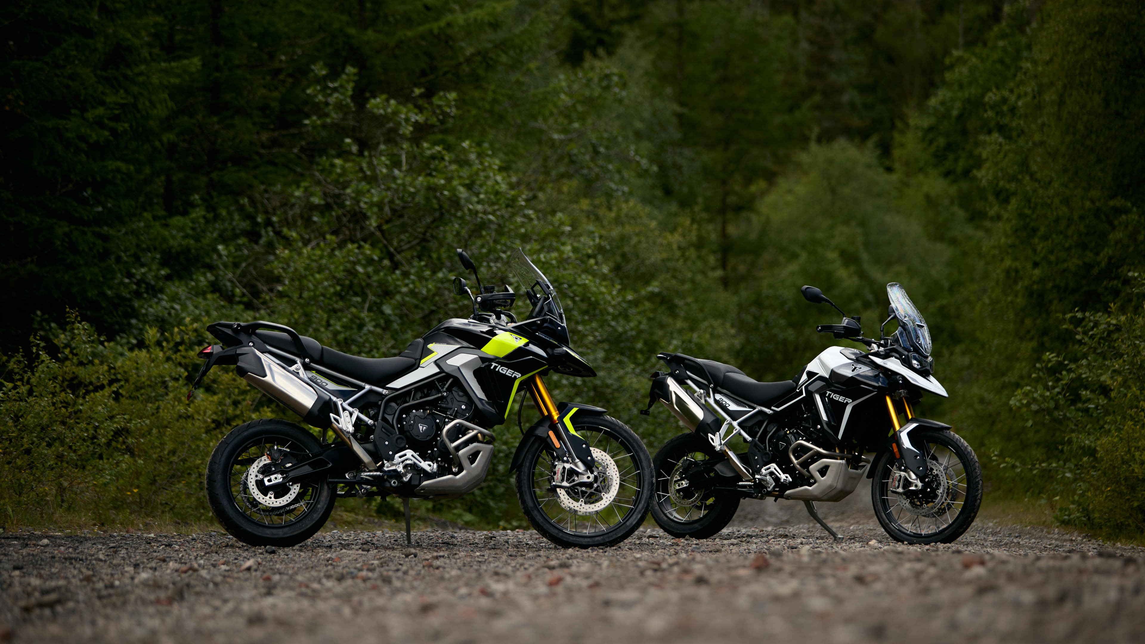 Tiger 900 Family