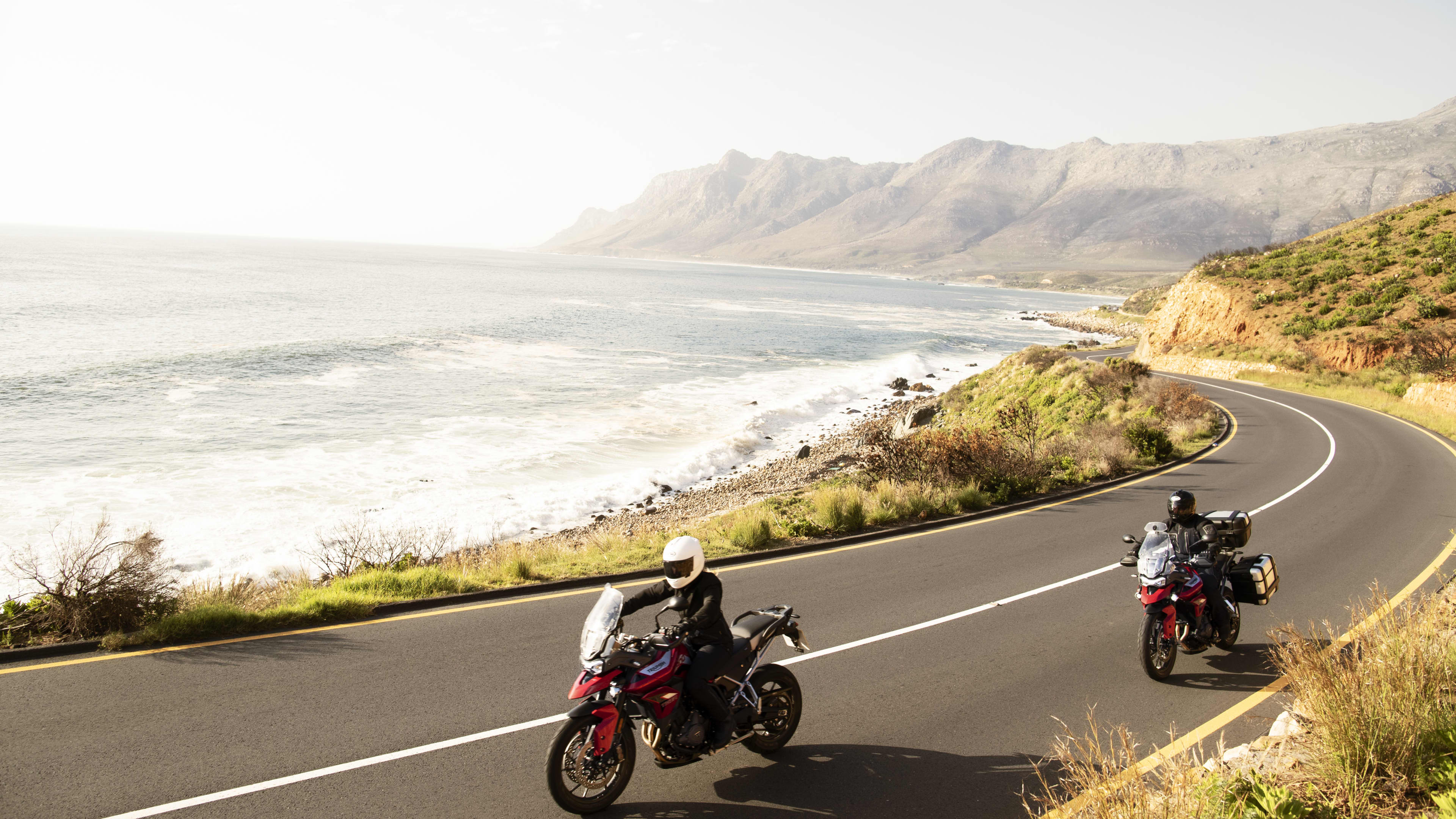 Tiger 900 Family