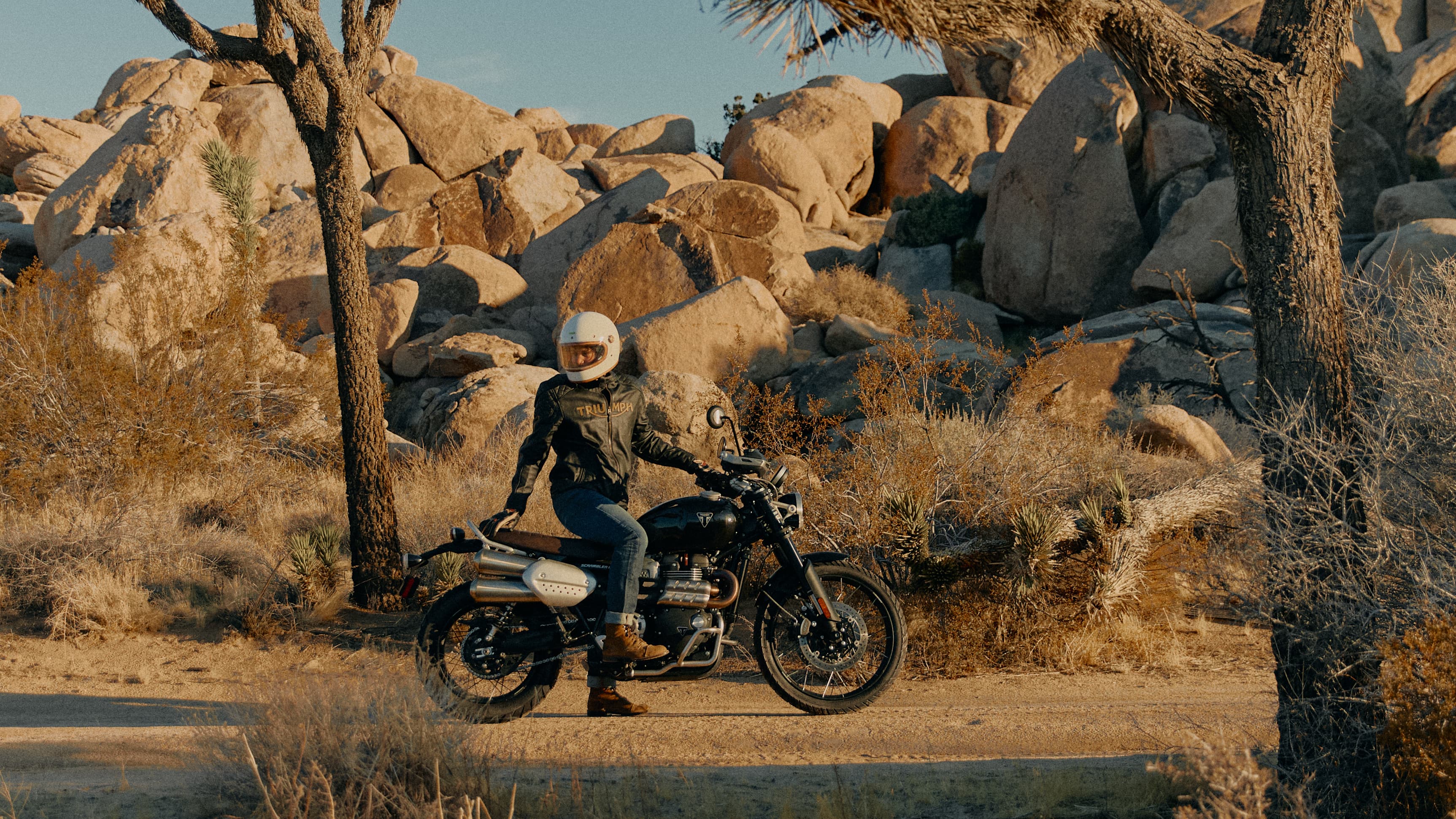 Man in desert on a Triumph bike