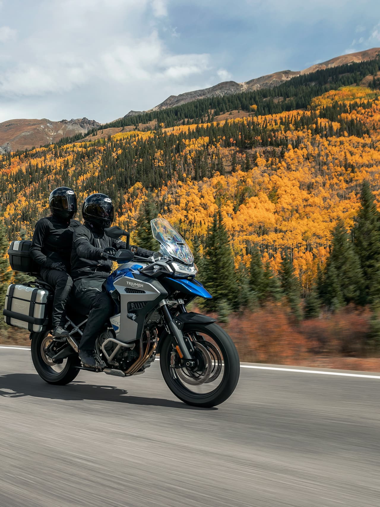 Tiger 1200 Rally Pro