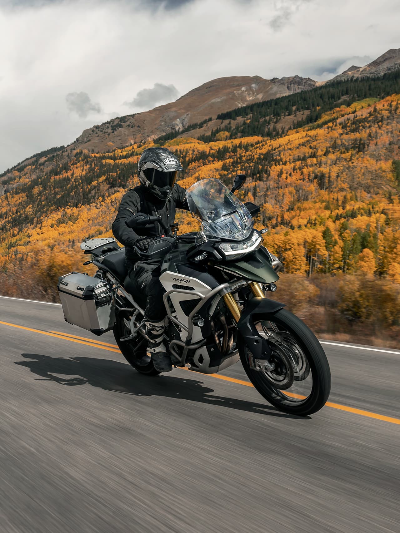 Tiger 1200 Rally Explorer Tiger 1200 Rally Pro
