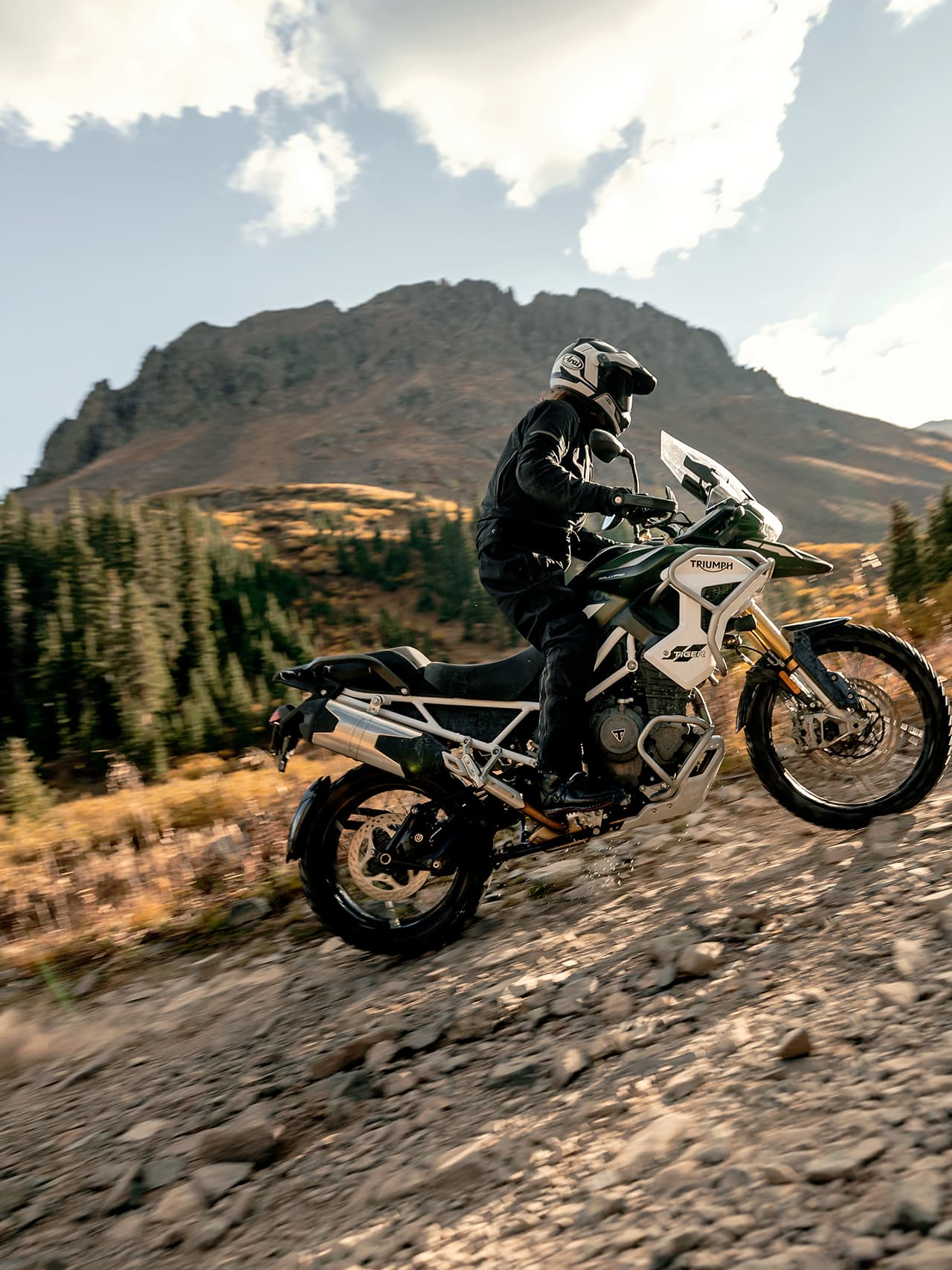 Tiger 1200 Rally Pro