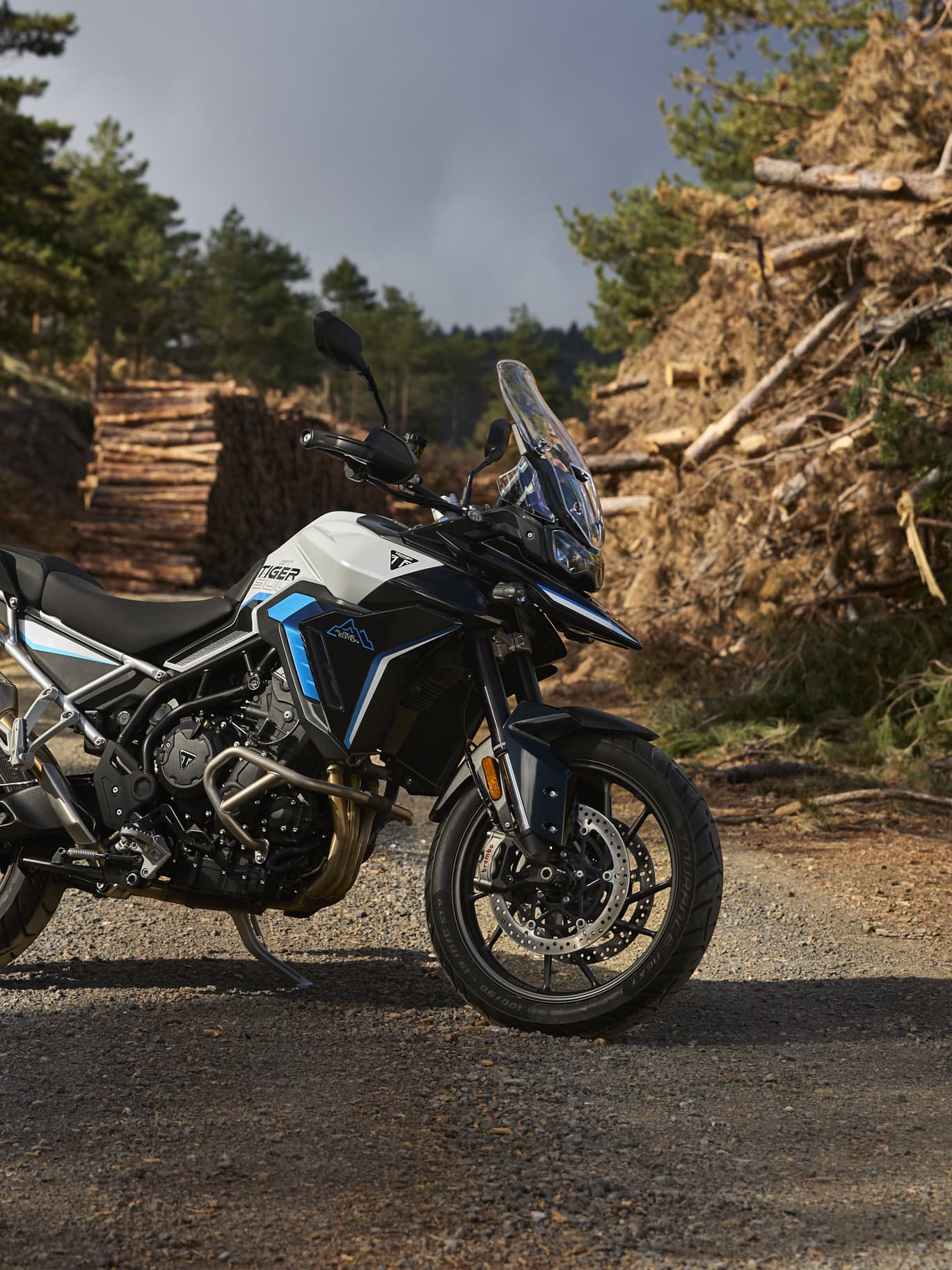 Tiger 900 Alpine Edition