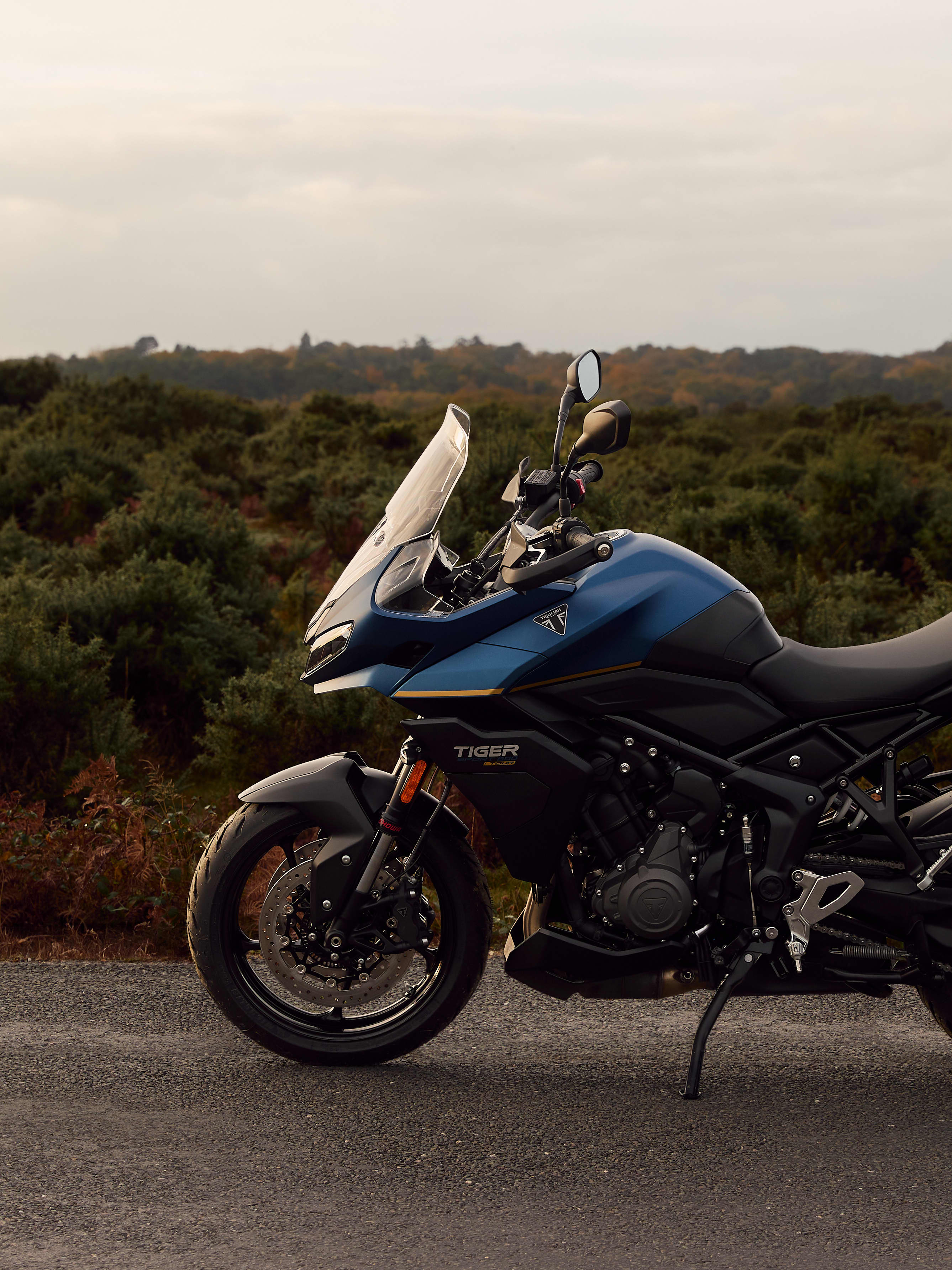 Tiger Sport