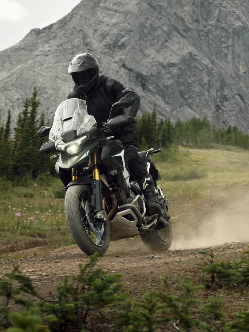 Nouvelle Tiger 1200 Rally Pro