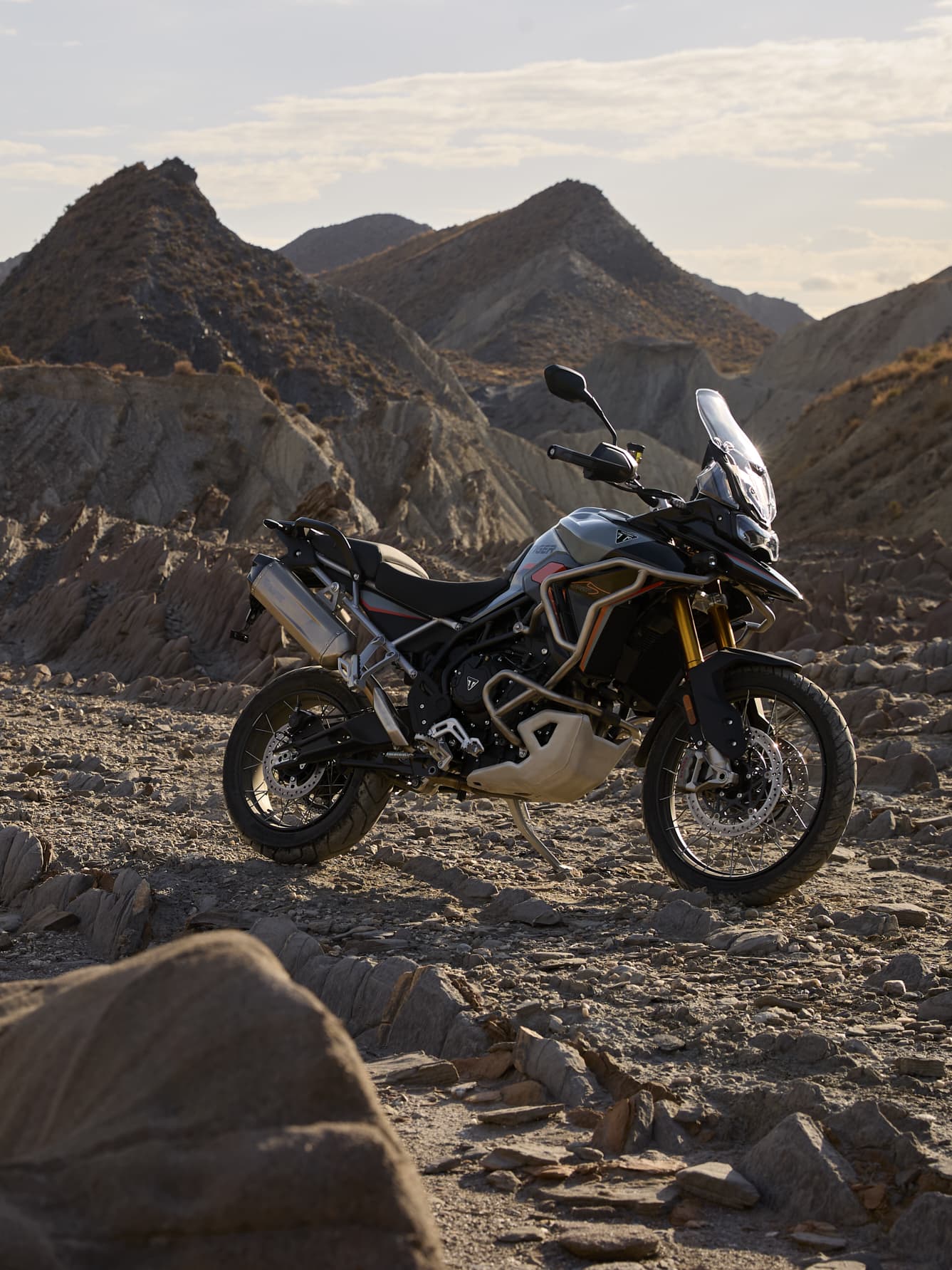 Tiger 900 Desert Edition