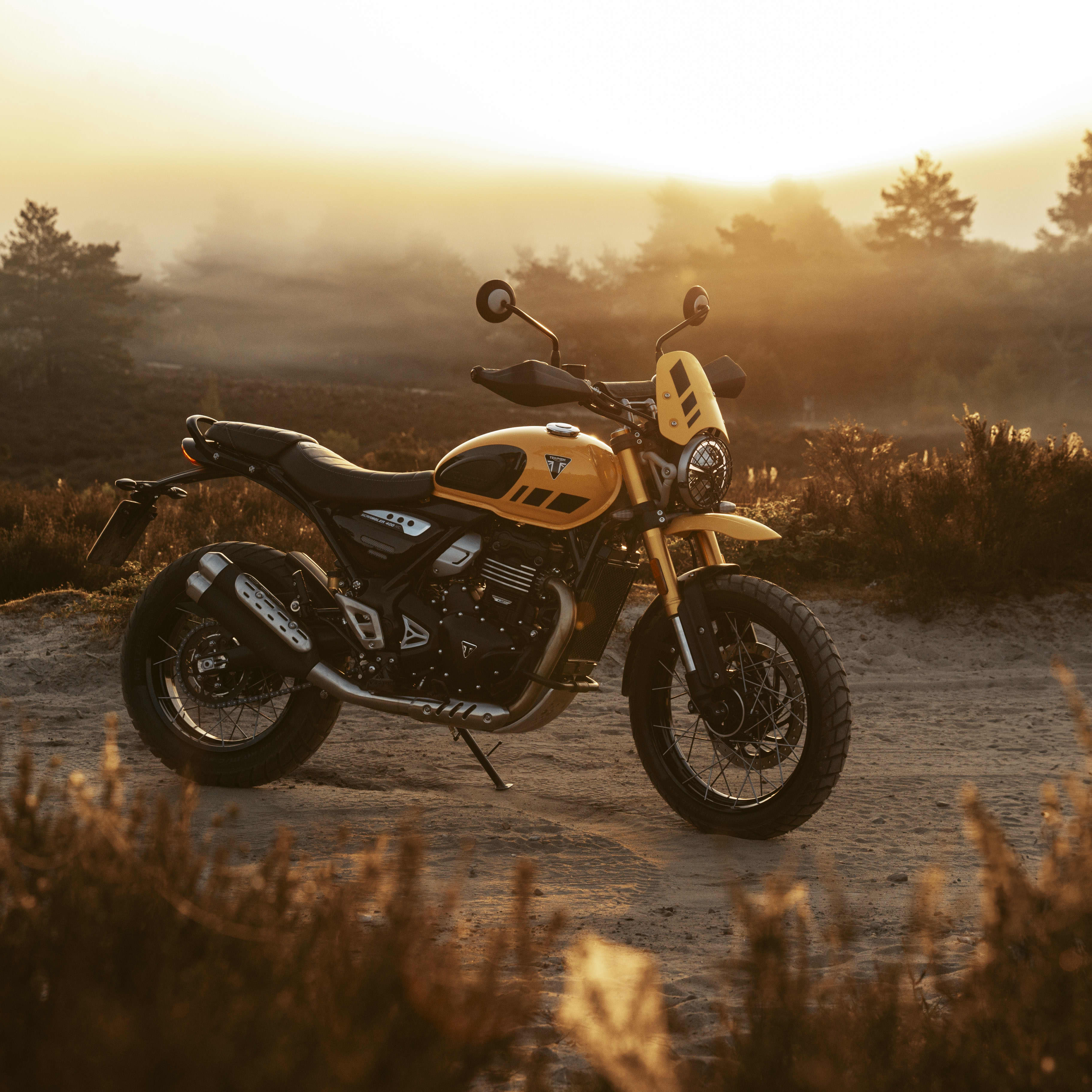 Rugged, confident and unmistakably Triumph. Built to explore, styled to stand out.