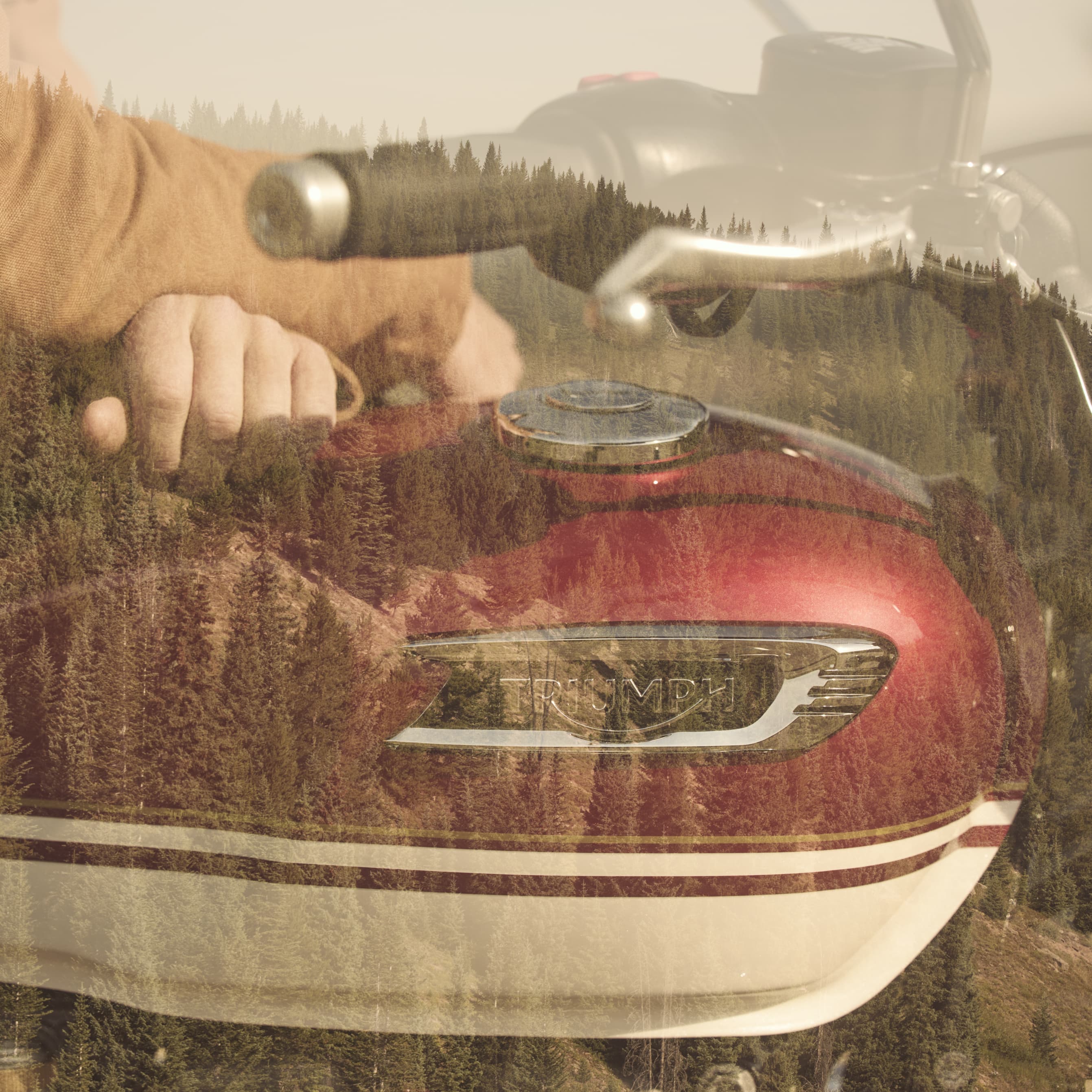 The laid-back British custom with unmistakable Triumph design DNA. 