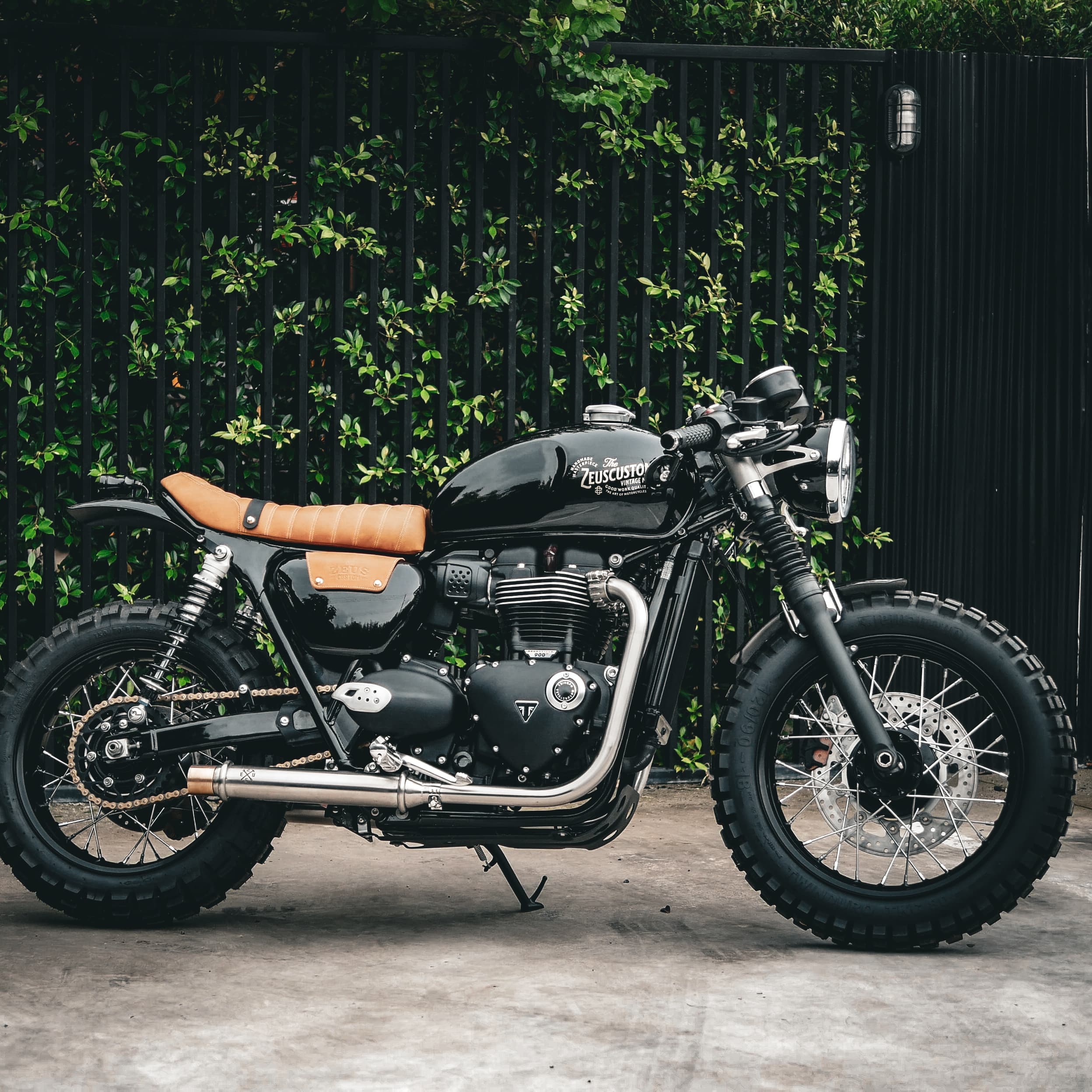 The Zeus Custom