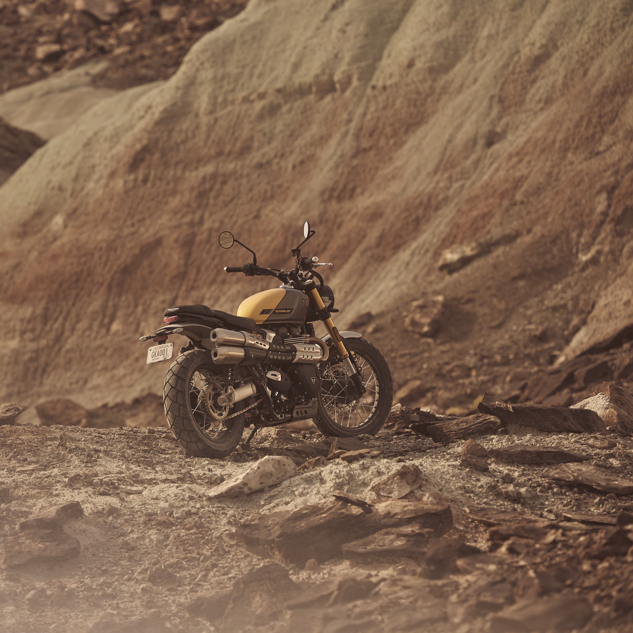 Timeless Triumph design DNA and refined details 