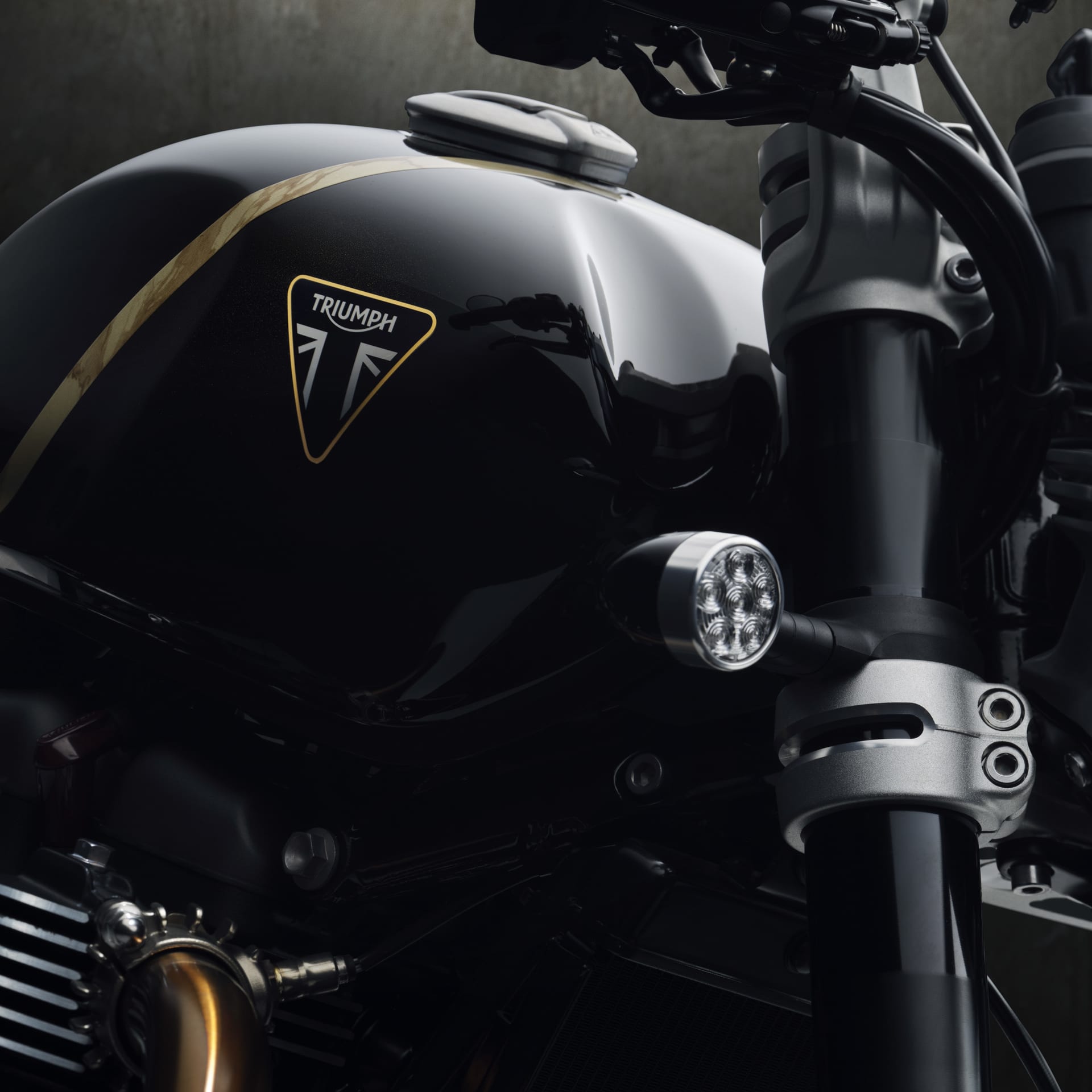 The Speed Twin 1200 TFC is limited to just 750 motorcycles worldwide.