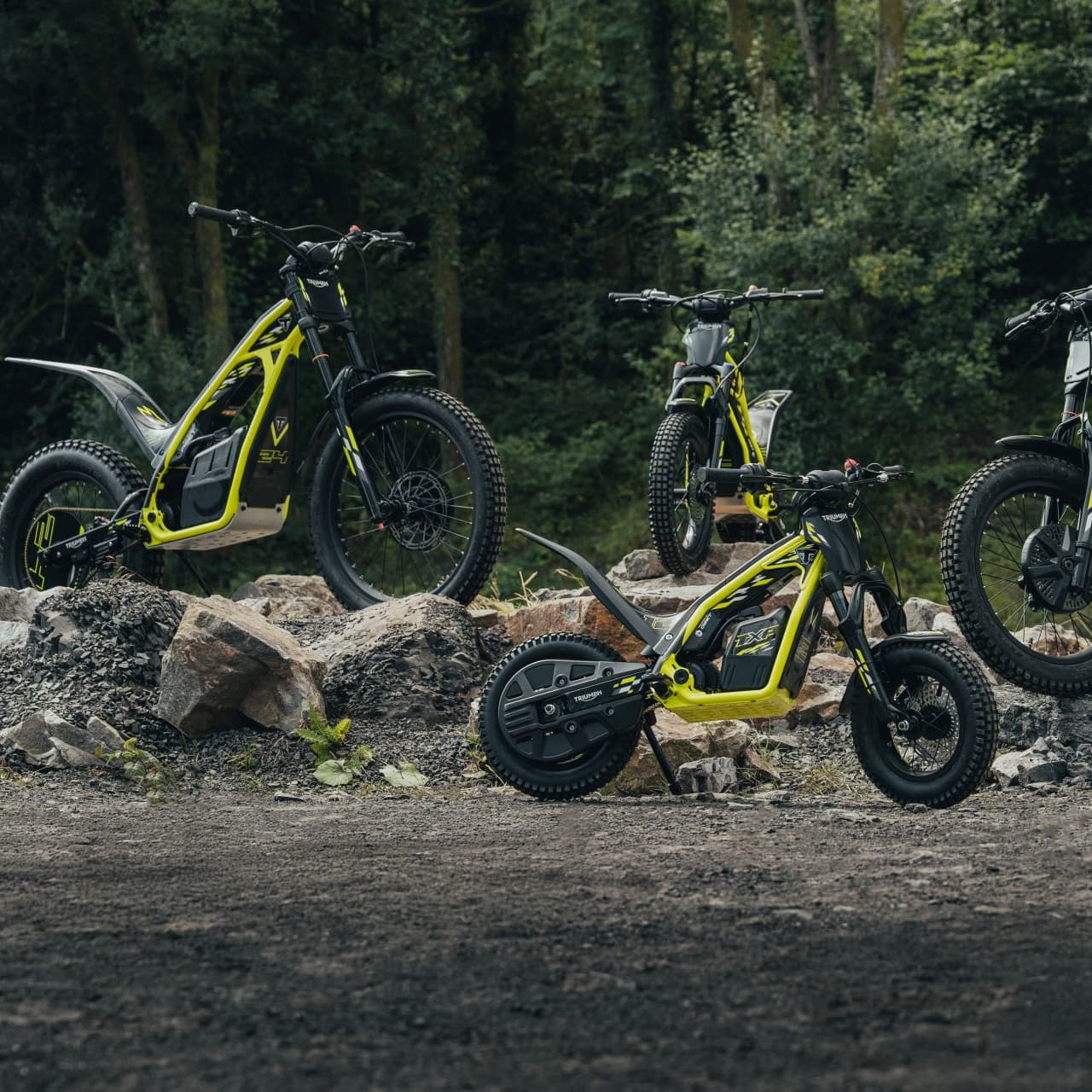 A lineup of four Triumph TXP electric dirt bikes in varying sizes, featuring bright neon yellow frames and knobby tires, parked on a rocky trail with a dense forest background.