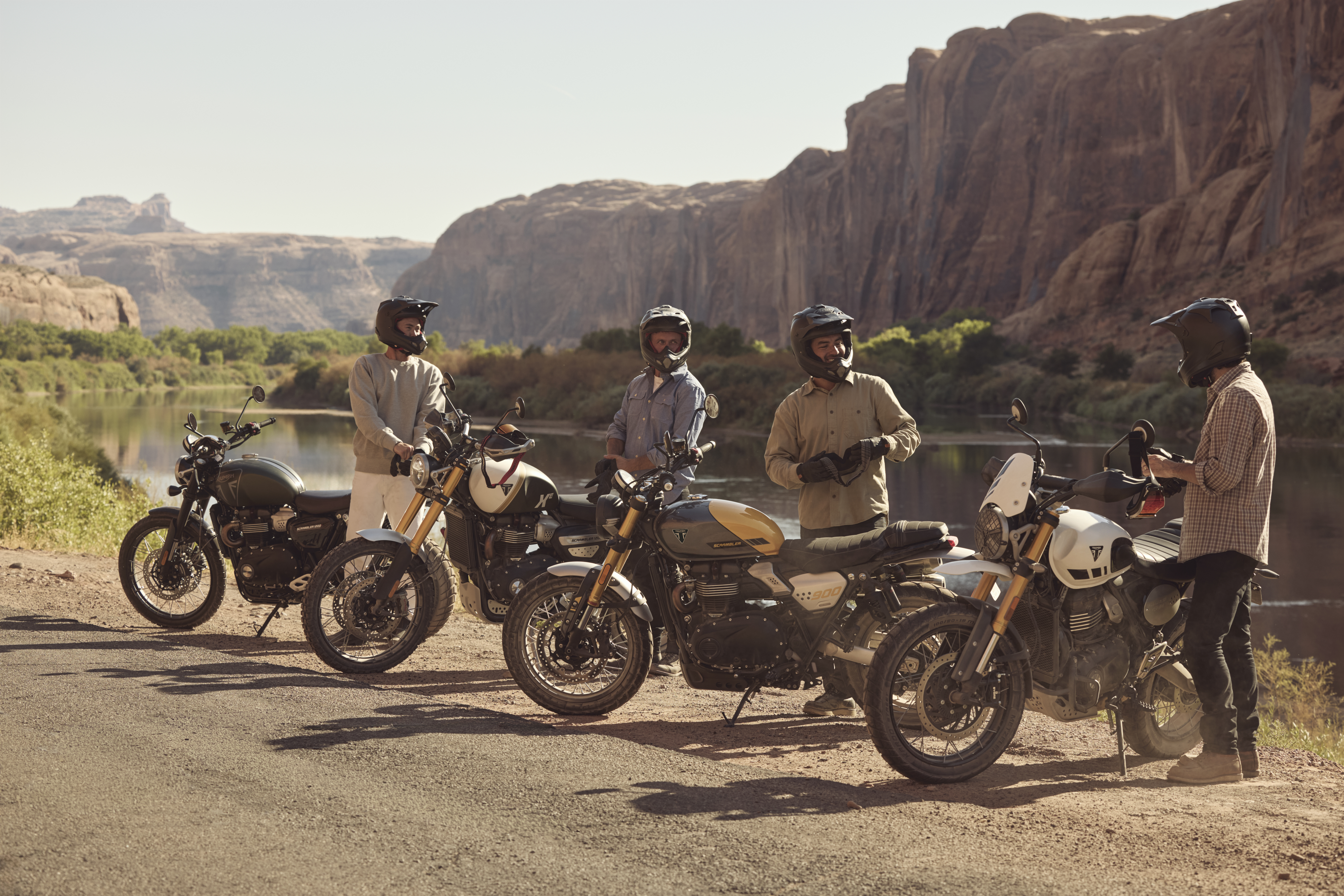 TRIUMPH MODERN CLASSIC MOTORCYCLES visual data 7