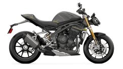 Speed Triple in Matt Silver Ice